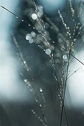  CDPR阐明《2077》即将解决的几个问题 都与任务相关